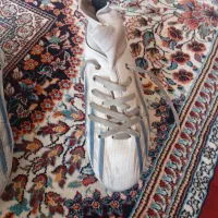 کفش چمن