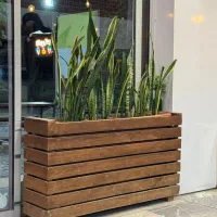 گلدون چوبی سانسوریا