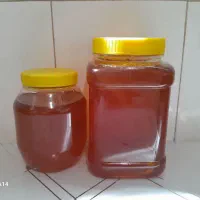 عسل ارگانیک