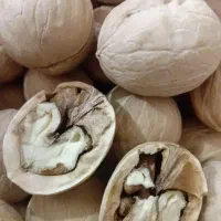 گردوی درجه یک چینی (پوست کاغذی)سایز درشت