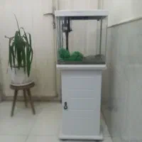 آکواریوم