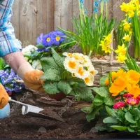 باغبان برای ویلای شخصی کوچک در مهرشهر