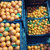 تمیزی کردن وچیدن میوه وفروشندکی