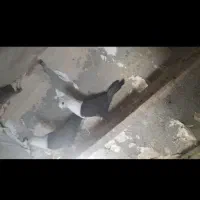 کفتر