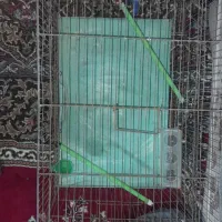 قفس|لوازم جانبی حیوانات|تهران, مولوی|دیوار