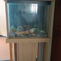 آکواریوم مبله با تحهیزات