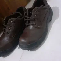 کفش کار