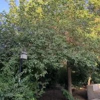 فروش باغ منزل محدوده باغ گلشن ،بلوار امام خمینی