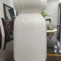 گلدان|صنایع دستی و سایر لوازم تزئینی|دوگنبدان, |دیوار