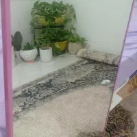 اینه قدی