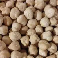 نخود درشت درجه1(برداشت هفته پیش)