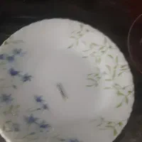پلوخوری دودست