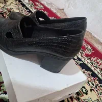 مجلسی|کیف، کفش، کمربند|اندیمشک, |دیوار