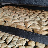 نیروی کار خانم برای کلوچه پزی