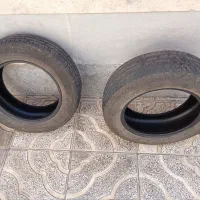 دو عددلاستیک پرشیا