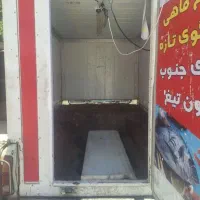 یخچال پیکان وانت