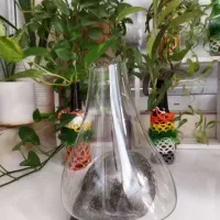 گلدان دفرمه شیشه سنگ