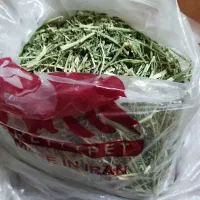 یونجه، غذای خرگوش