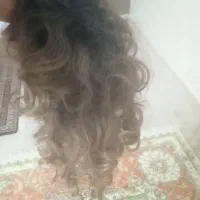 یک عدد پوستیژ کاملا سالم