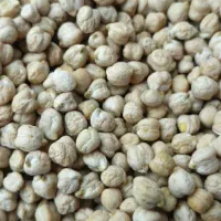 فروش خاکشیر و نخوددرجه 1بشرط مرجوعی