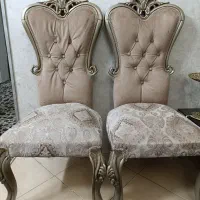 دو عدد میزبان