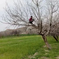 طبیعت گردی آقام جوان