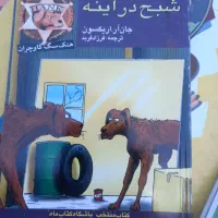 ۴۰۰جلد کتاب ادبیات داستانی برای گروه سنی ۷تا۱۵ سال