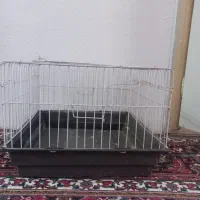قفس خرگوش