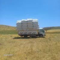 خریدارکاه گندم