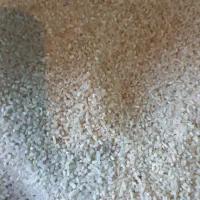 کلگ|عمده‌فروشی|دهدشت, |دیوار
