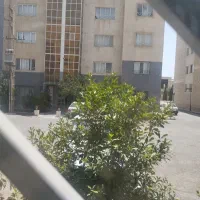 همخانه