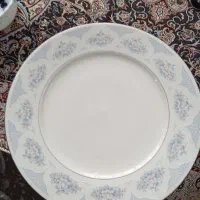 تعداد سی عدد بشقاب پلو خوری خارجی