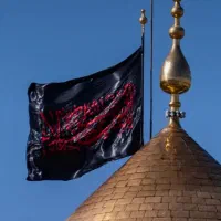 حجة ابن الحسن