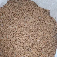 فروش چلتوک درجه یک.