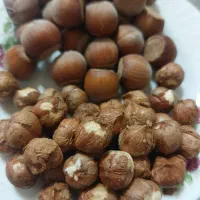 فندق طبیعی و پرمغز شبستر