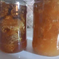 عسل کوهی