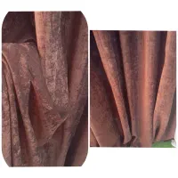 پرده پذیرایی