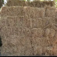 علوفه برنج  بسته بندی شده