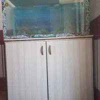 آکواریوم ماهی