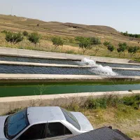 فروش یونجه