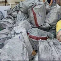 تیشرت تاناکوراپلمپ اصلی شرکت عمده