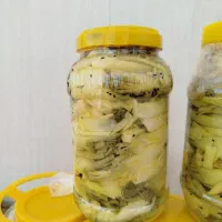 ترشی بیلهر
