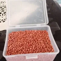 غذای ماهی اسکار