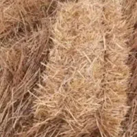 100عدد پرس علف