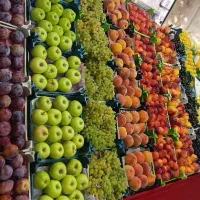 نیرو خانم واقا جهت کار در میوه فروشی با حقوق عالی