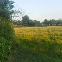 3000متر شالیزار کوچه روبروی سیتادیوم دسترسی مناسب