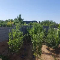 خونه باغ ۳۰۰ متری