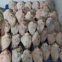 کله و پاچه وسیراب شیردون