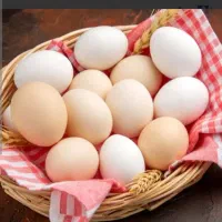 تخم مرغ محلی تازه و ارگانیک