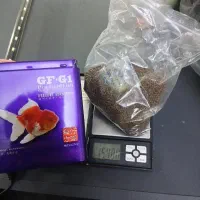 غذای ماهی گلدفیش